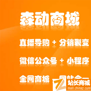 商城网站建设|B2C电商购物分销系统