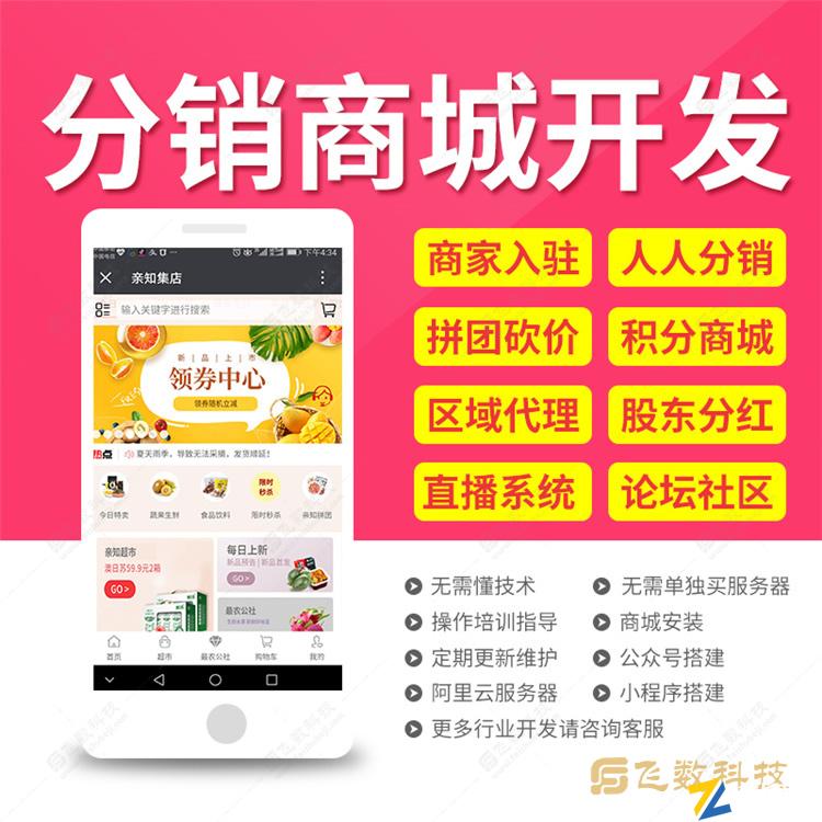 飞数建站B2B商城系统|智能分销系统