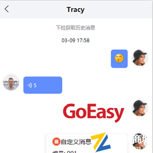 GoEasy(增强型) |IM聊天服务即时通讯