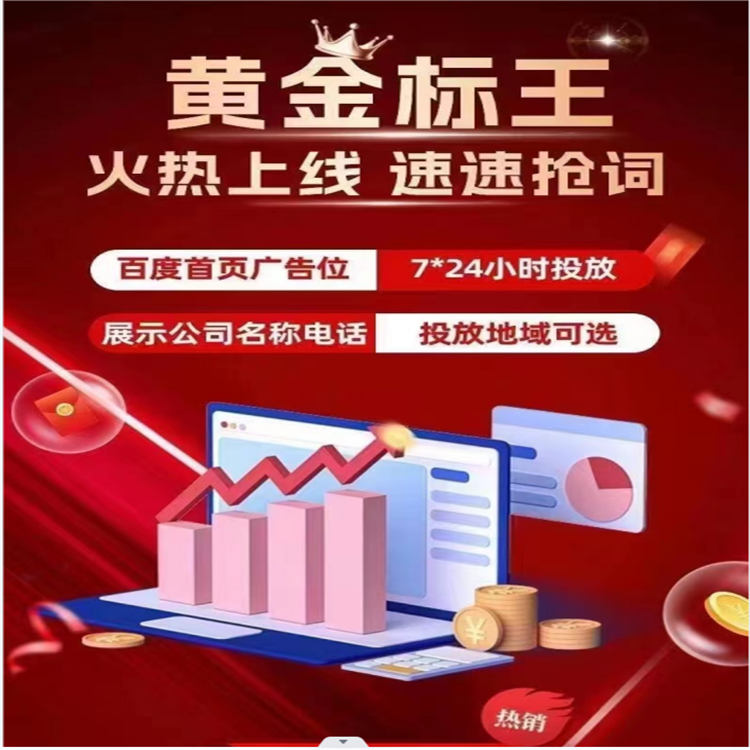 百度左侧包年首页5个词/年4980元特惠版