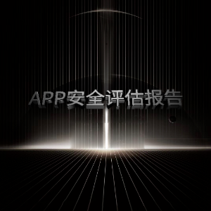 App安全评估报告