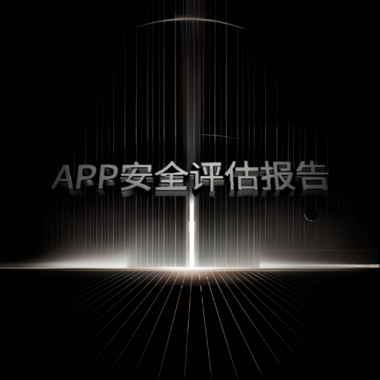 App安全评估报告