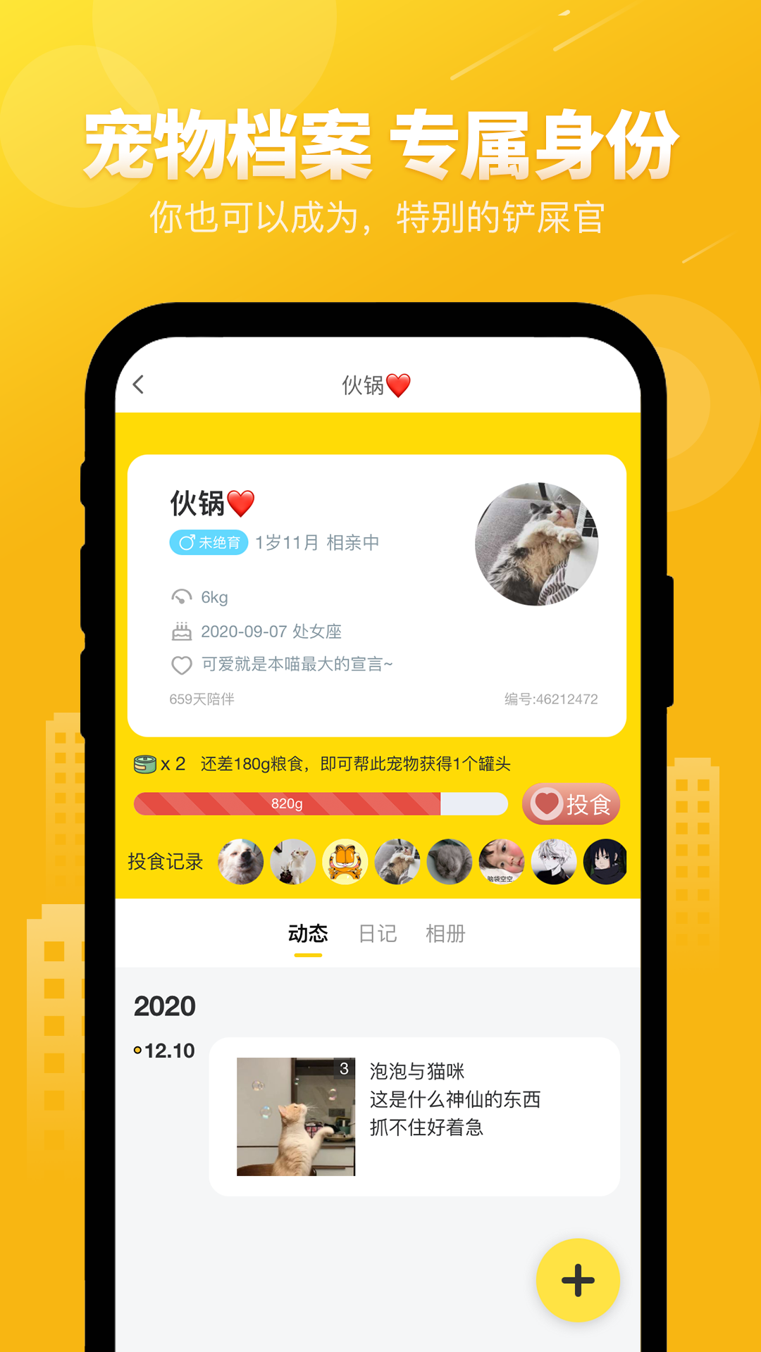 宠物猫APP社交平台小程序社区源码支持微信小程序安卓苹果APP