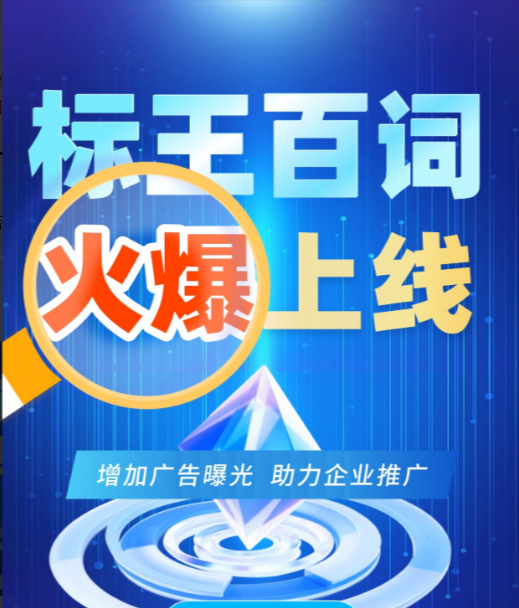 百度左侧包年百词版（最低保障100词展现）3980元/年